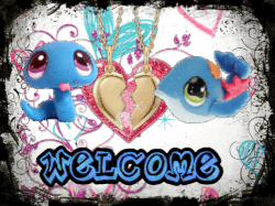 Welcome!