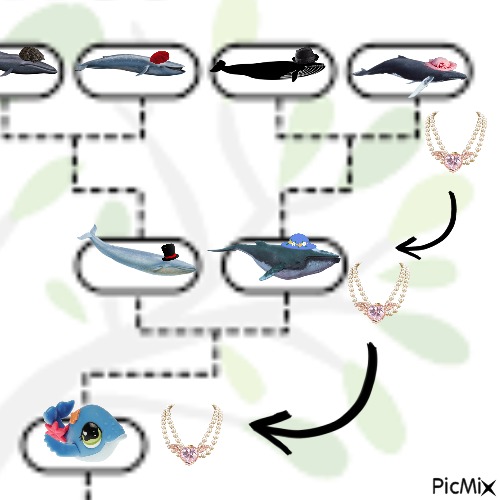 The image shows a corner of Whale's family tree. It shows out the necklace has been passed down from Whale's grandma, to Whale's mom, and now finally to Whale. Whale is the only LPS on the family tree, all the other whales are realistic, and wearing hats.